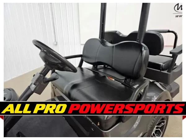 2021 Yamaha Drive 2 Gas AFI Deluxe ECOXGEAR Lighting Package Golf Cart, Carbon – photo 9 of 15