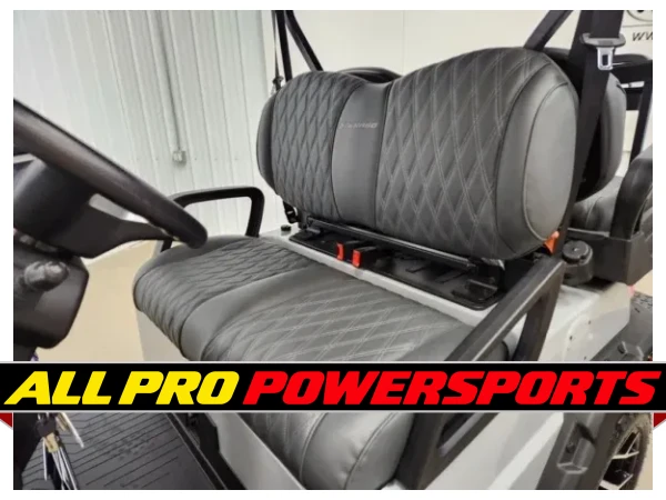 2026 Denago Nomad XL Plus Lithium Ion Golf Cart, Grey – photo 9 of 22