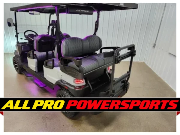 2026 Denago Rover XL6 Lithium Ion Golf Cart, Grey – photo 5 of 26