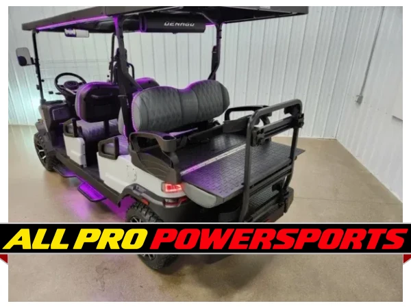 2026 Denago Rover XL6 Lithium Ion Golf Cart, Grey – photo 6 of 26