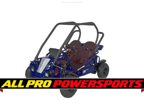 RPS Raytech 125cc Go Kart GKT125-9 Spyder , Single cylinder, air-cooled
