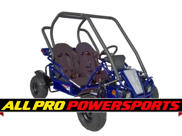 RPS Raytech 125cc Go Kart GKT125-9 Spyder , Single cylinder, air-cooled