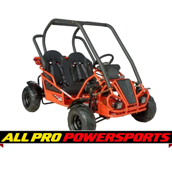 RPS Raytech 125cc Go Kart GKT125-9 Spyder , Single cylinder, air-cooled