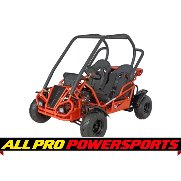 RPS Raytech 125cc Go Kart GKT125-9 Spyder , Single cylinder, air-cooled