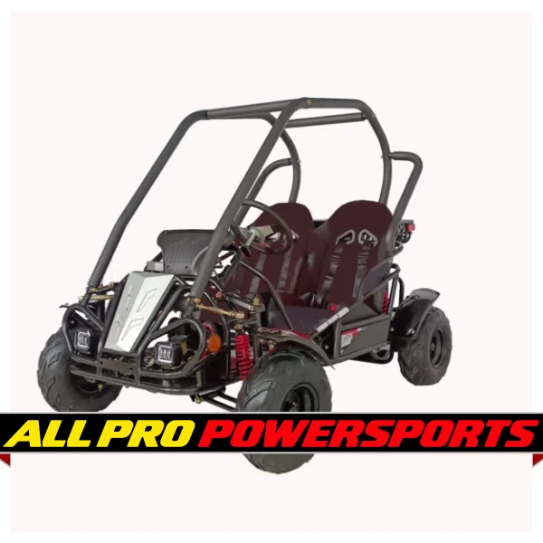 RPS Raytech 125cc Go Kart GKT125-9 Spyder , Single cylinder, air-cooled