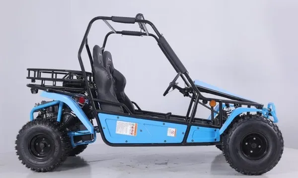 Taotao BAJA SPORT 200 Go Kart 169cc, Electric Start, Powerplant With a CVT Automatic