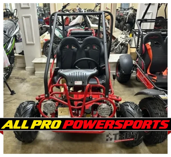 Taotao GK110 110CC Youth Go Kart, Air Cooled, 4-Stroke, 1-Cylinder, Automatic with Reverse