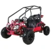 Taotao GK110 110CC Youth Go Kart, Air Cooled, 4-Stroke, 1-Cylinder, Automatic with Reverse – Photo 2 Taotao GK110 110CC Youth Go Kart, Air Cooled, 4-Stroke, 1-Cylinder, Automatic with Reverse