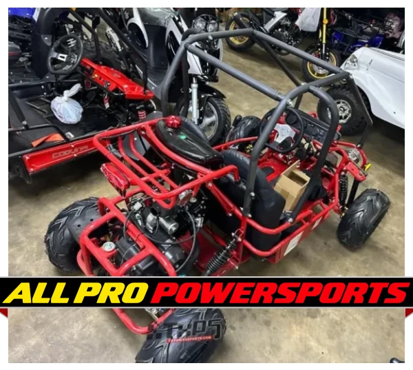Taotao GK110 110CC Youth Go Kart, Air Cooled, 4-Stroke, 1-Cylinder, Automatic with Reverse
