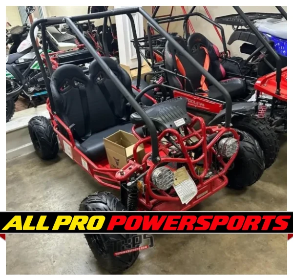 Taotao GK110 110CC Youth Go Kart, Air Cooled, 4-Stroke, 1-Cylinder, Automatic with Reverse