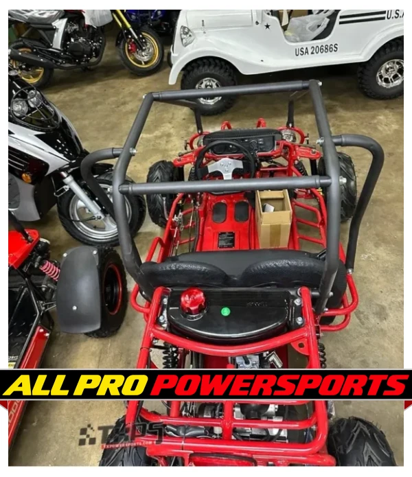 Taotao GK110 110CC Youth Go Kart, Air Cooled, 4-Stroke, 1-Cylinder, Automatic with Reverse