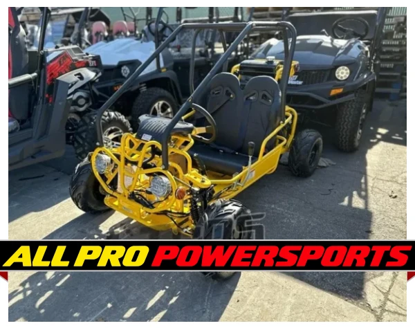 Taotao GK110 110CC Youth Go Kart, Air Cooled, 4-Stroke, 1-Cylinder, Automatic with Reverse