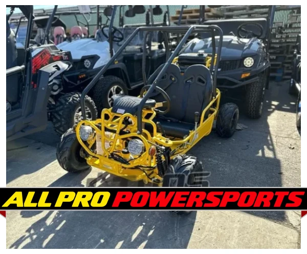 Taotao GK110 110CC Youth Go Kart, Air Cooled, 4-Stroke, 1-Cylinder, Automatic with Reverse