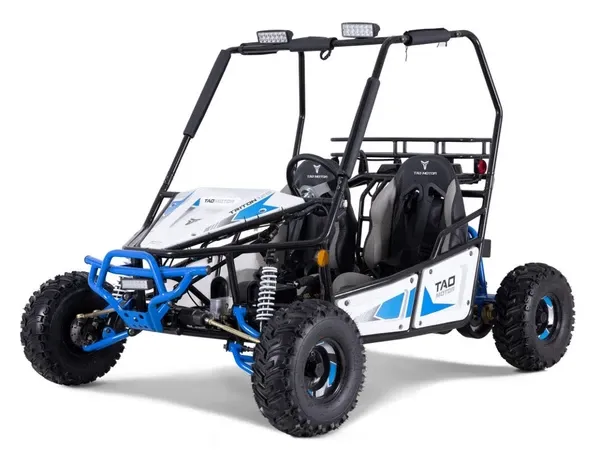 Taotao Triton 125Cc Gokart, Fully Automatic With Reverse, Electric Start