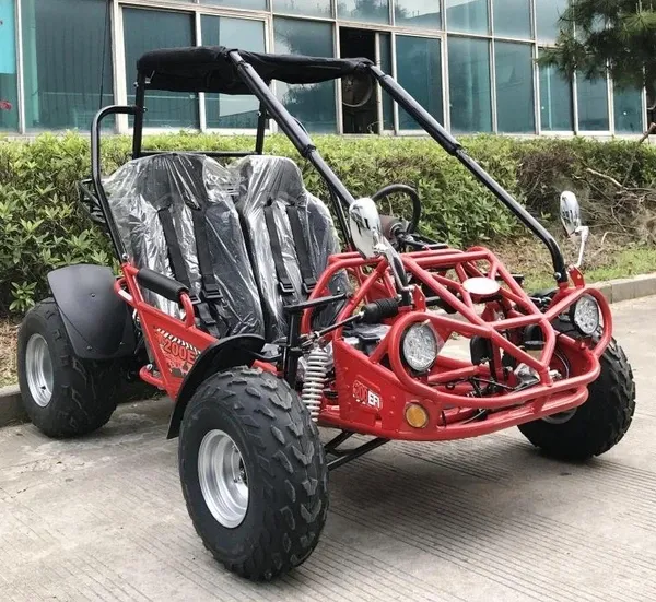 TrailMaster 200E XRS EFI Go Kart, 168.9cc Fully Automatic, Electric Start, Kill Switch
