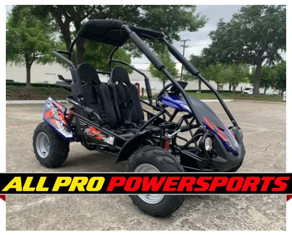 Trailmaster Blazer I200R Electric Motor, Fully Automatic With Reverse