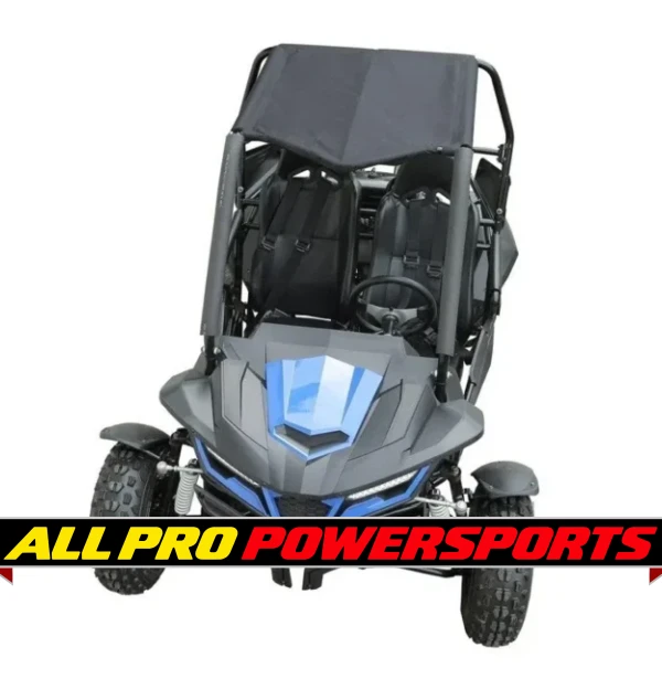 Trailmaster Cheetah 200 Go kart, Upgraded rear end, high back seats, Full Welded Roll Cage (CARBURETOR VERSION)