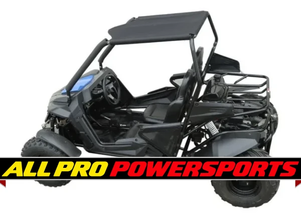 Trailmaster Cheetah 200 Go kart, Upgraded rear end, high back seats, Full Welded Roll Cage (CARBURETOR VERSION)
