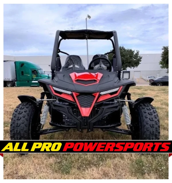 Trailmaster Cheetah 200 Go kart, Upgraded rear end, high back seats, Full Welded Roll Cage (CARBURETOR VERSION)