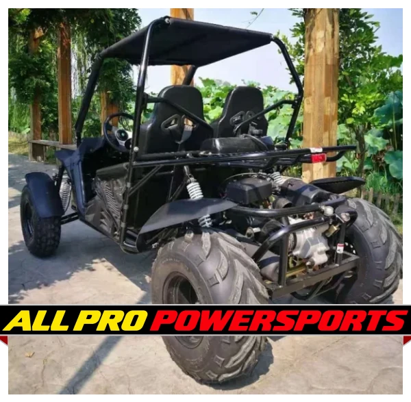 TrailMaster Cheetah 200E EFI Go Kart, 4-Stroke, Single Cylinder, Air Cooled, Automatic With Reverse
