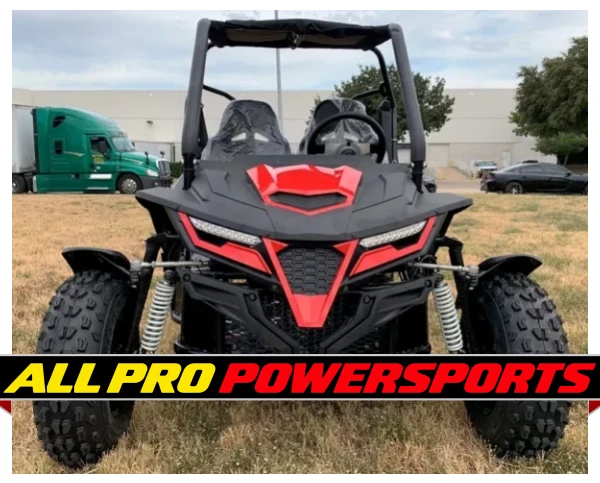 TrailMaster Cheetah 200E EFI Go Kart, 4-Stroke, Single Cylinder, Air Cooled, Automatic With Reverse