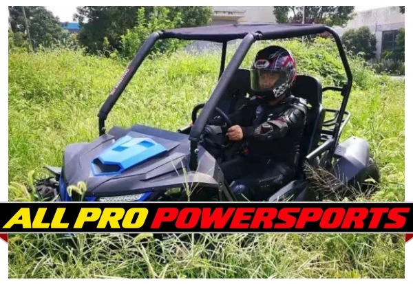 TrailMaster Cheetah 200E EFI Go Kart, 4-Stroke, Single Cylinder, Air Cooled, Automatic With Reverse