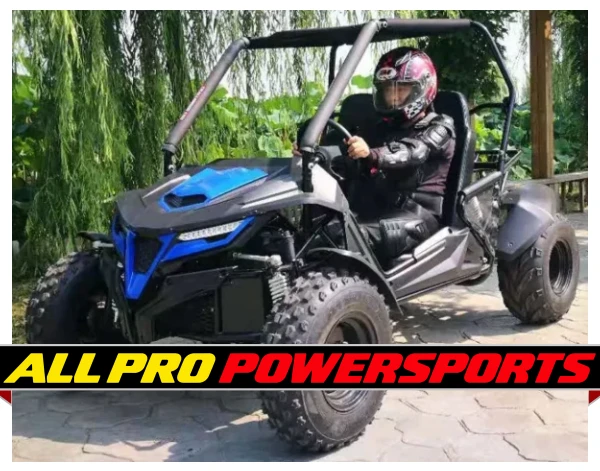 TrailMaster Cheetah 200E EFI Go Kart, 4-Stroke, Single Cylinder, Air Cooled, Automatic With Reverse