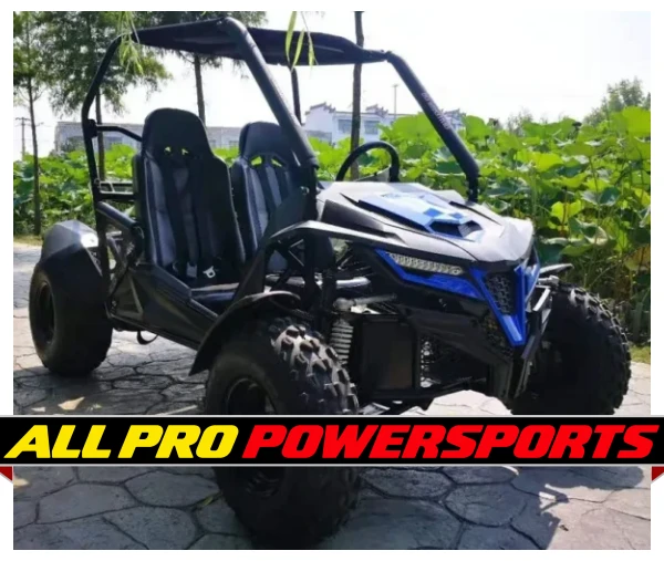 TrailMaster Cheetah 200E EFI Go Kart, 4-Stroke, Single Cylinder, Air Cooled, Automatic With Reverse