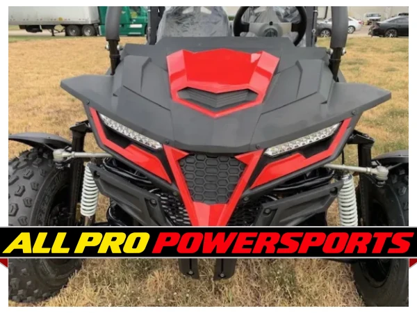 Trailmaster Cheetah 200EX Off Road UTV / Go Kart / side-by-side Wind Shield, Light bar, Spare Tire, Upgraded Center Pivot rear end, Fuel Injected