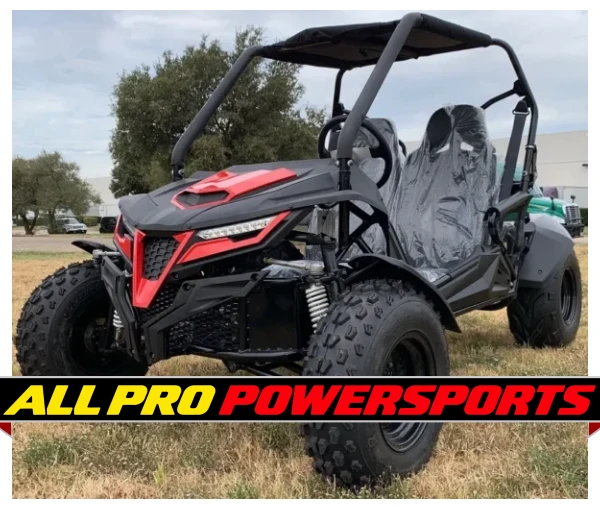 Trailmaster Cheetah 200EX Off Road UTV / Go Kart / side-by-side Wind Shield, Light bar, Spare Tire, Upgraded Center Pivot rear end, Fuel Injected