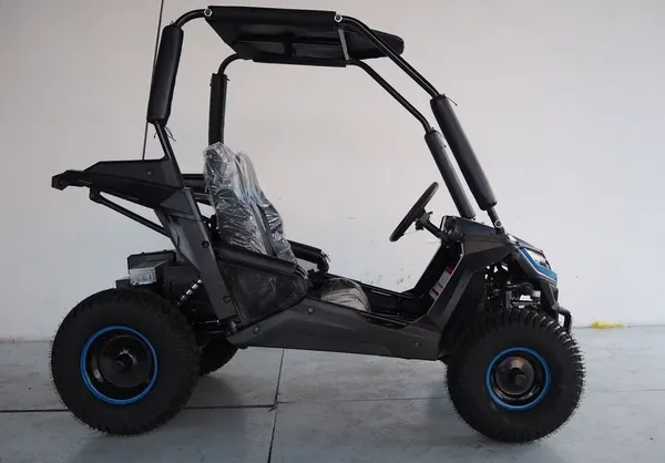 TrailMaster Cheetah i6 electric Super Quiet 650W DC Motor 48V 20Ah Battery