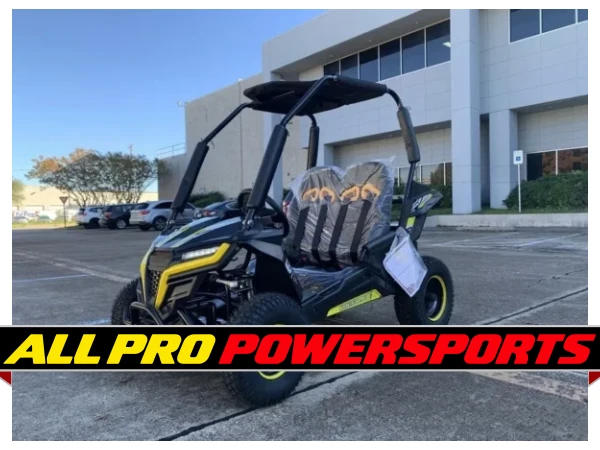 TrailMaster Cheetah i6 electric Super Quiet 650W DC Motor 48V 20Ah Battery