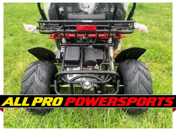 TrailMaster EFI Go Kart 300 XRS4E, CVT Fully Automatic Liquid Cool Engine