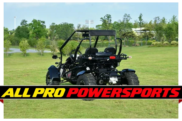 VITACCI VENTURE 200 EFI GO KART, 168.9cc 4-STROKE, 1-CYLINDER, AUTO WITH REVERSE, ALLOY WHEELS