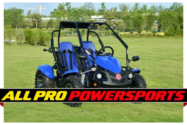 VITACCI VENTURE 200 EFI GO KART, 168.9cc 4-STROKE, 1-CYLINDER, AUTO WITH REVERSE, ALLOY WHEELS